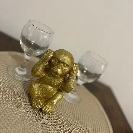 Chic Elena Năvodari