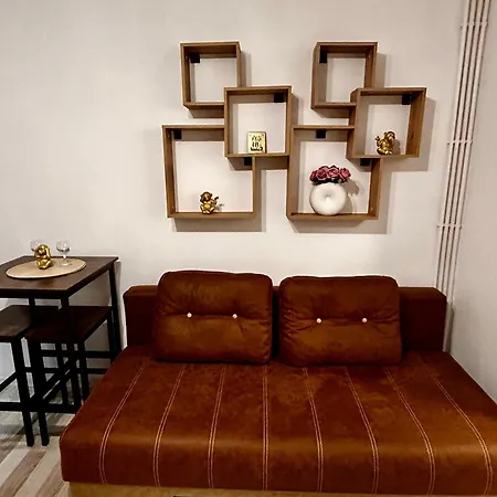 Chic Elena 아파트 *