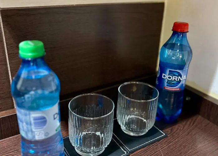 Chic Elena Apartament *